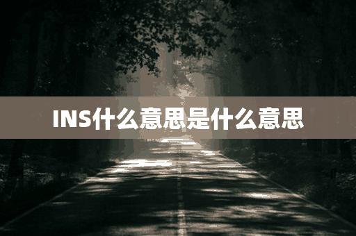 INS什么意思是什么意思